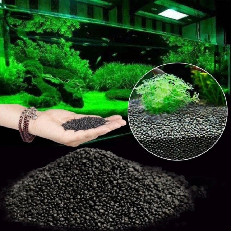 Aquarium Plant Seeds - Аквариум Вода Трава Грязь Растение Семена