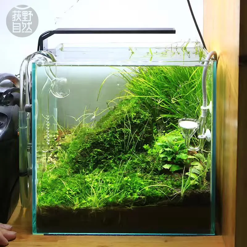 Aquarium Plant Ornament - Chihiros C серии ADA стиль для