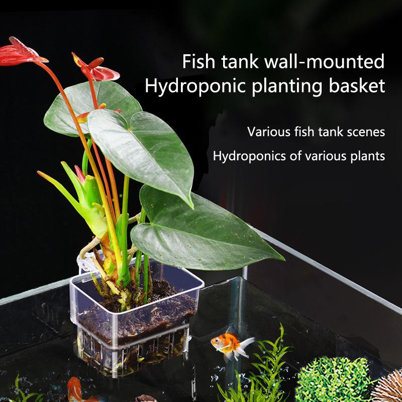 Aquarium Planted Set Up - Корзины для гидропоники в аквариуме, 2,