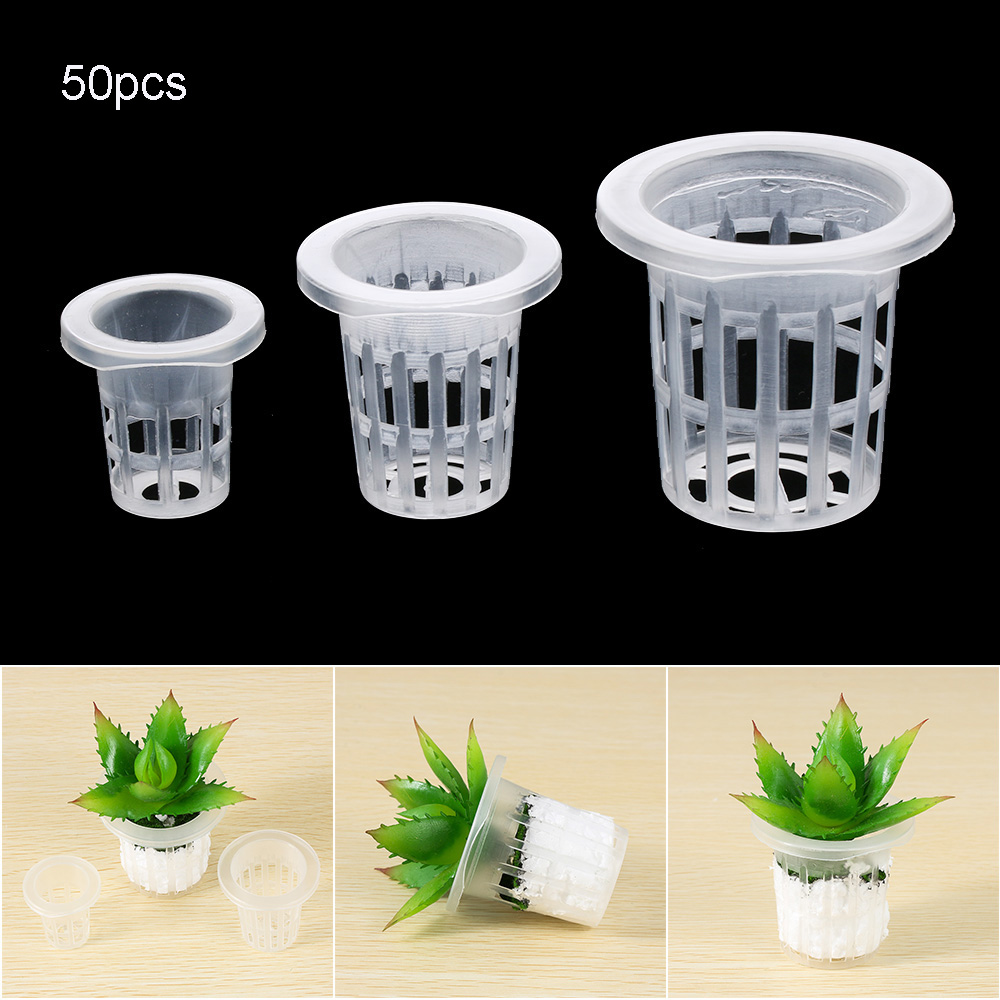 Aquarium Plant Seeds - 10/50 шт. садовые принадлежности для посадки