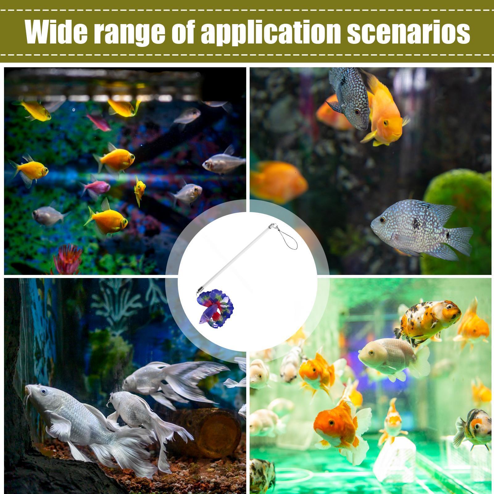 Planted Aquarium For Beginners - Реалистичная акриловая игрушка-удочка для тренировки рыбок,