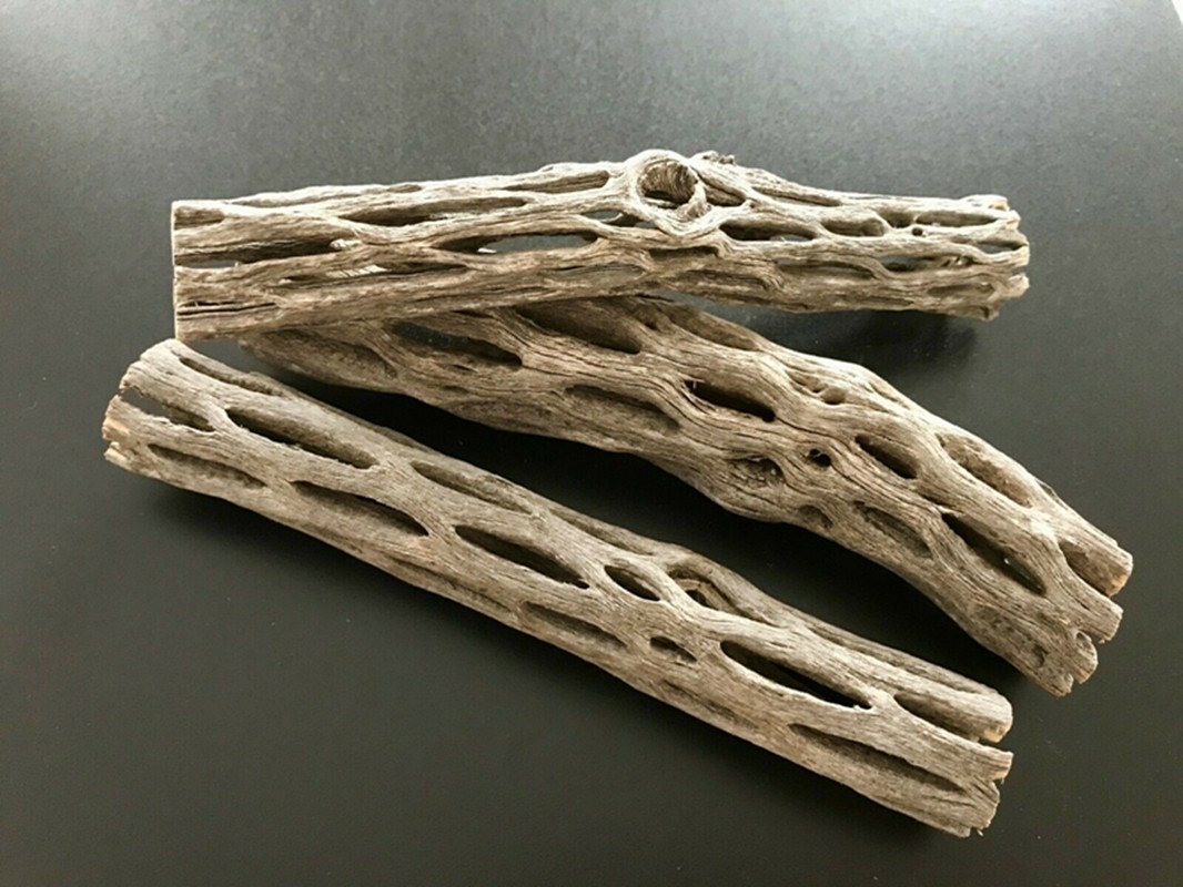 Aquarium Plant Seeds - Органическое/натуральное аквариумное гнездо из древесины кактуса,
