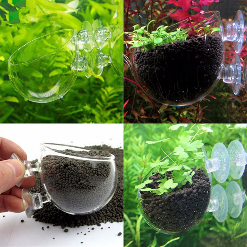 Aquarium Plant Seeds - Стеклянная цилиндрическая чашка для аквариума с