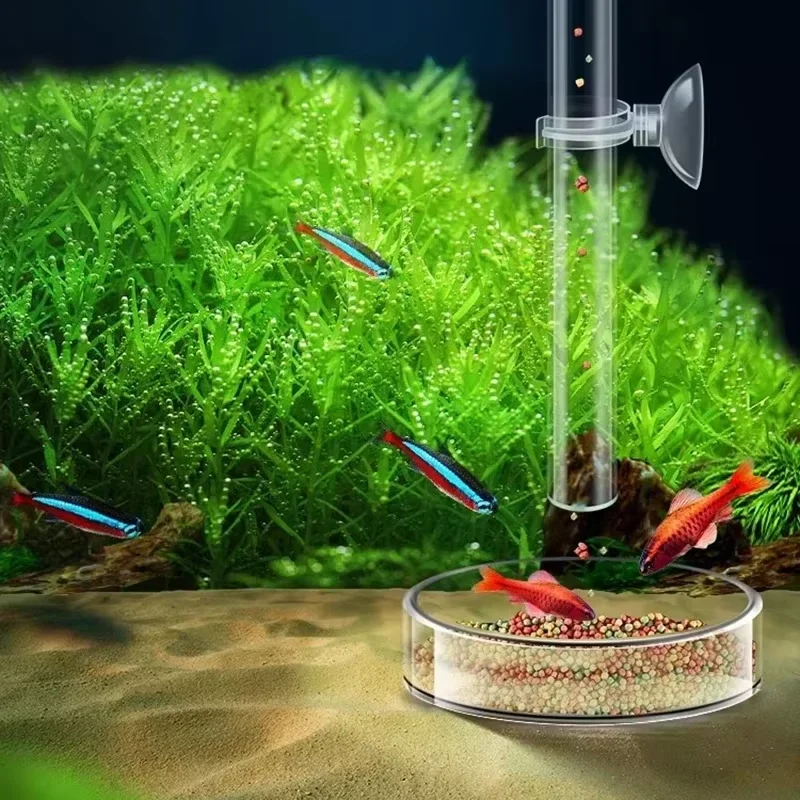 Набор для аквариума: стеклянна – обзор и цена Aquarium Plant Red
