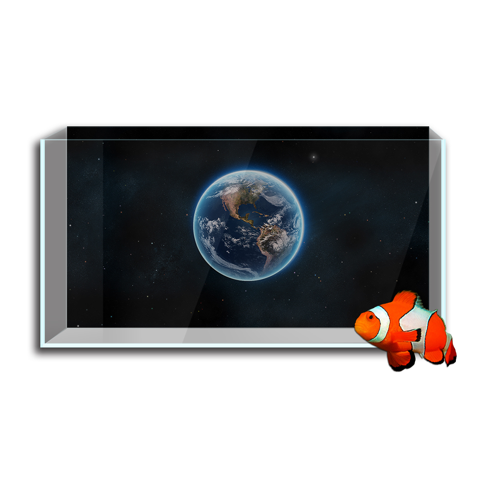 Аквариумный аквариумный фон-на – обзор и цена Aquarium Planet