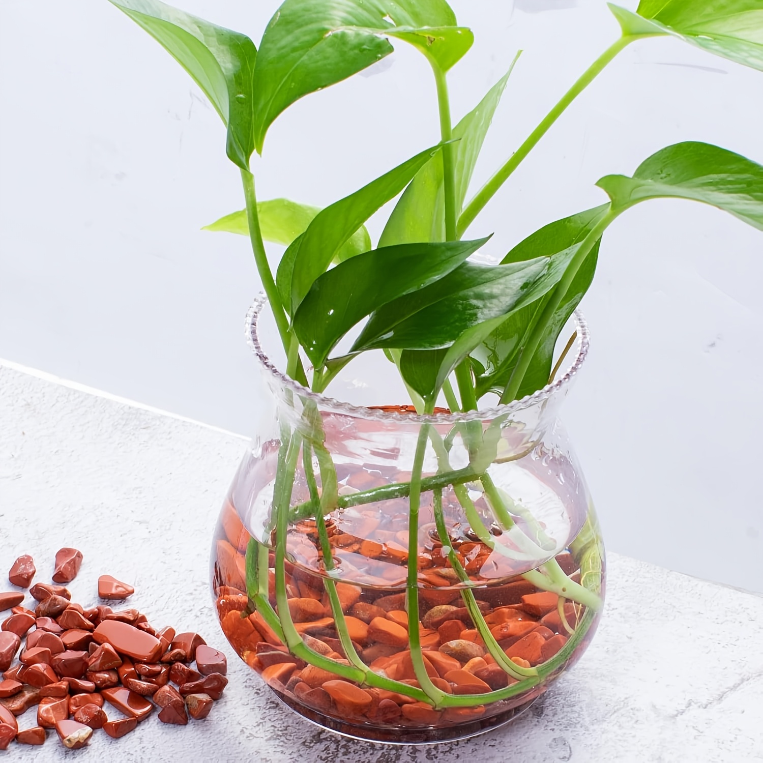Камень из красной яшмы - натур – обзор и цена Aquarium Plant Red