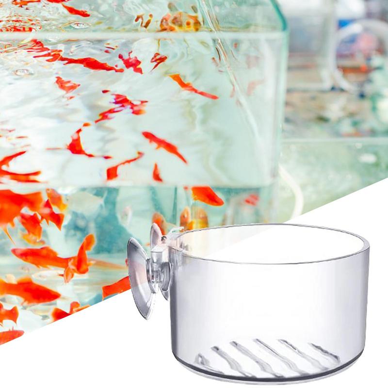 Горшок для аквариумных растени – обзор и цена Aquarium Plant Seeds