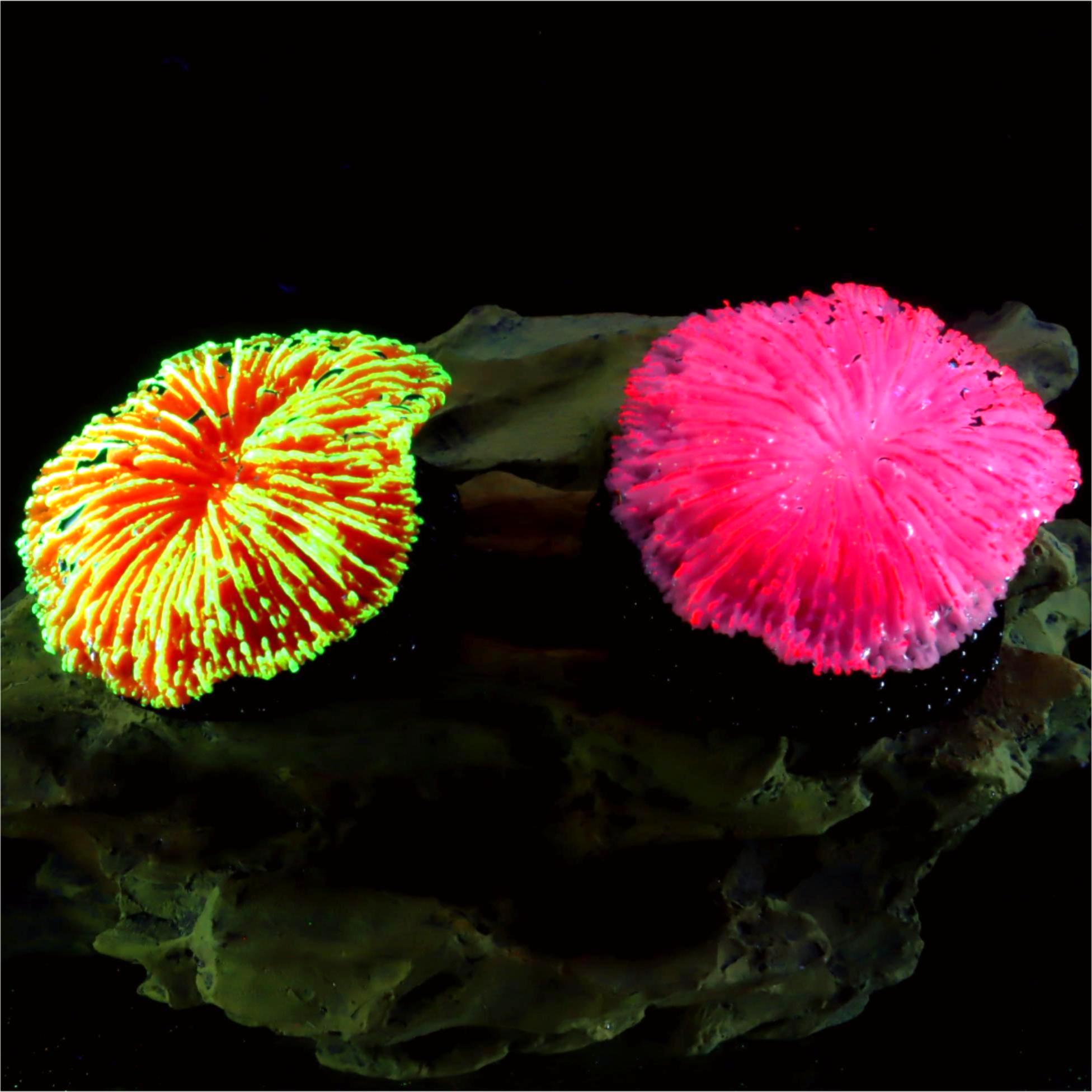 1 piece aquarium decoration sa – обзор и цена Aquarium Planet