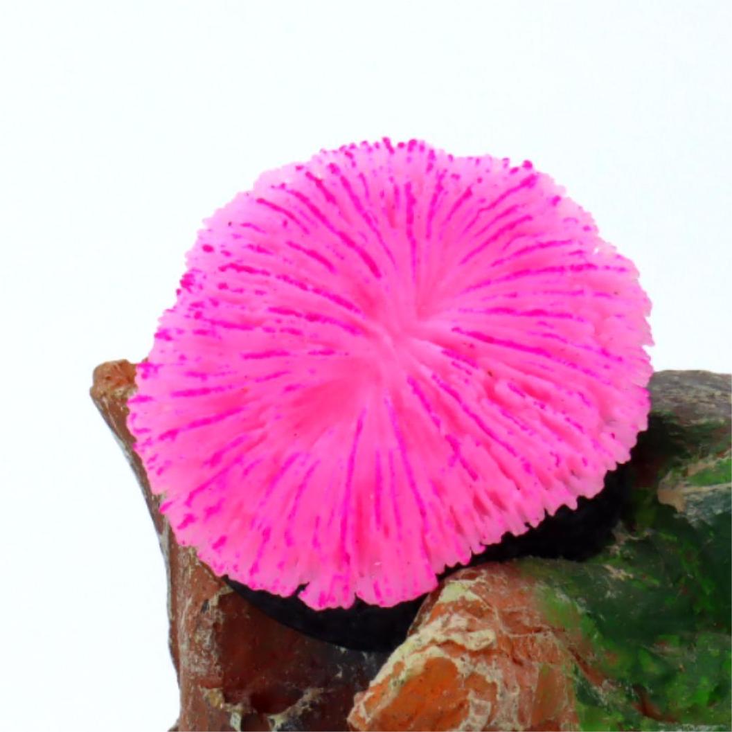 1 piece aquarium decoration sa – обзор и цена Aquarium Planet