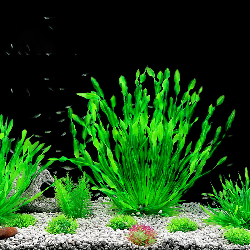 Искусственные растения для акв – обзор и цена Aquarium Plant Seeds