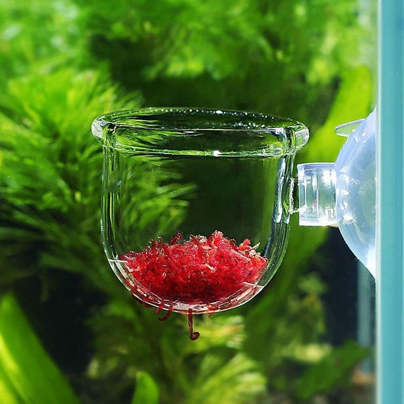 Акриловая чашка для водных рас – обзор и цена Aquarium Plant Seeds