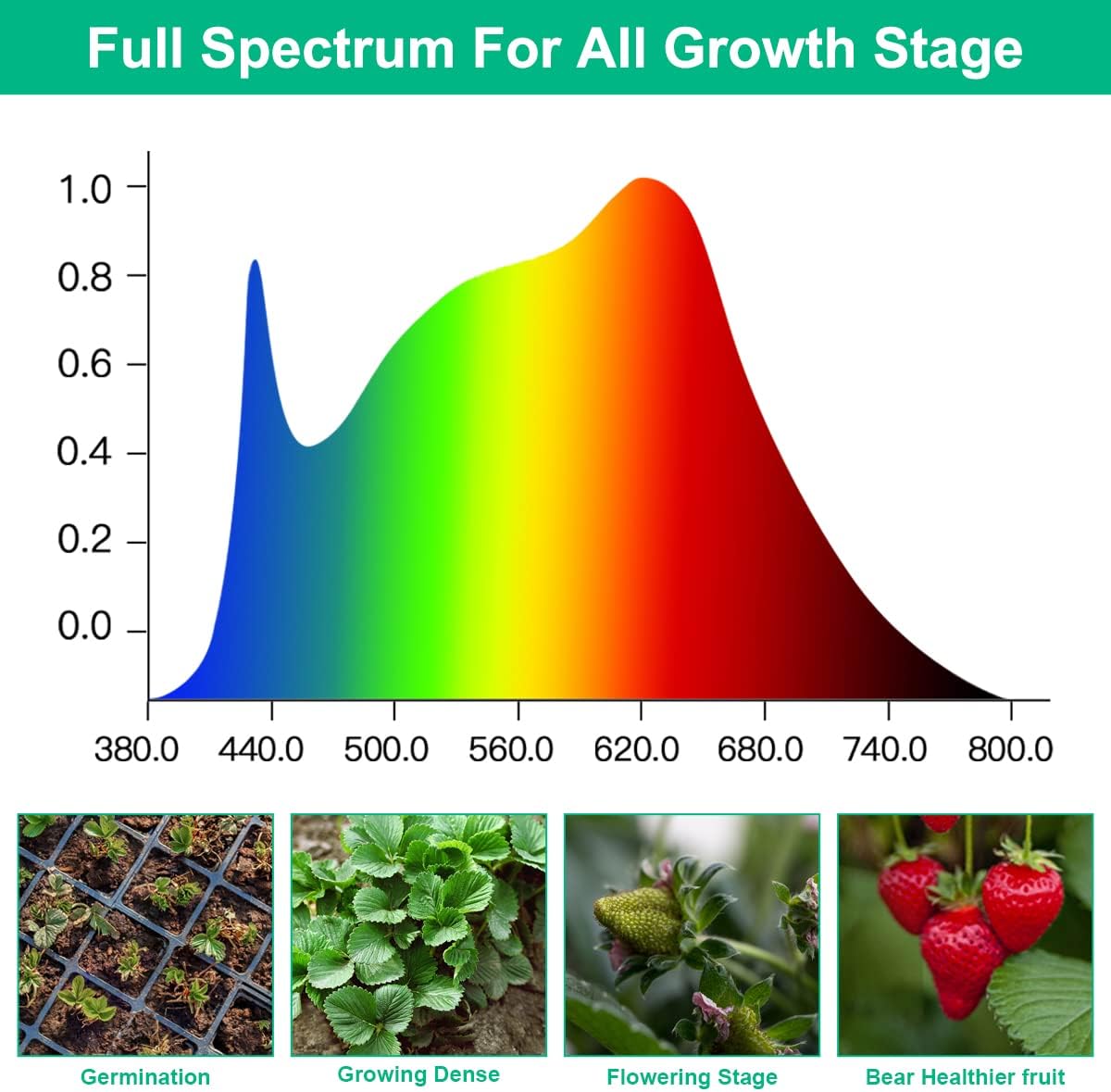 Светодиодные лампы для выращив – обзор и цена Aquarium Plant Seeds