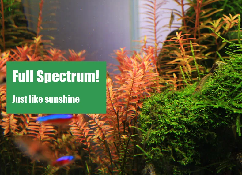 Chihiros C серии ADA стиль для – обзор и цена Aquarium Plant Ornament