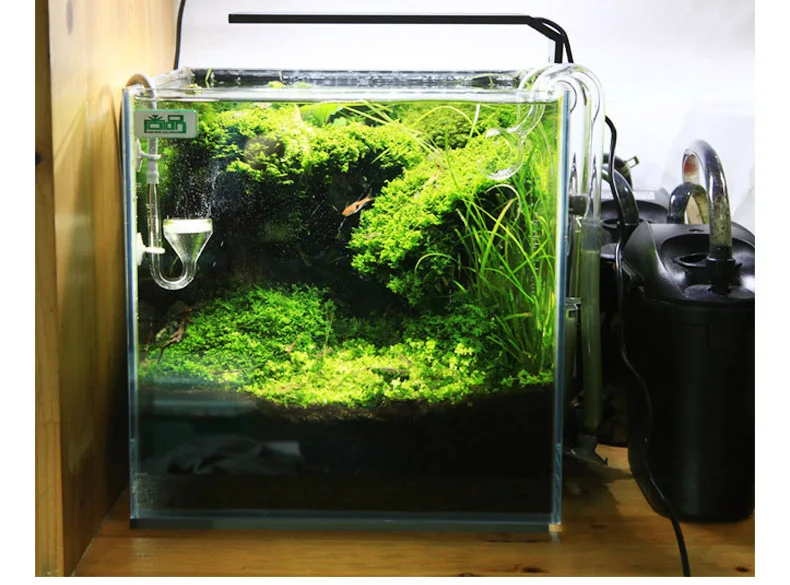 Chihiros C серии ADA стиль для – обзор и цена Aquarium Plant Ornament