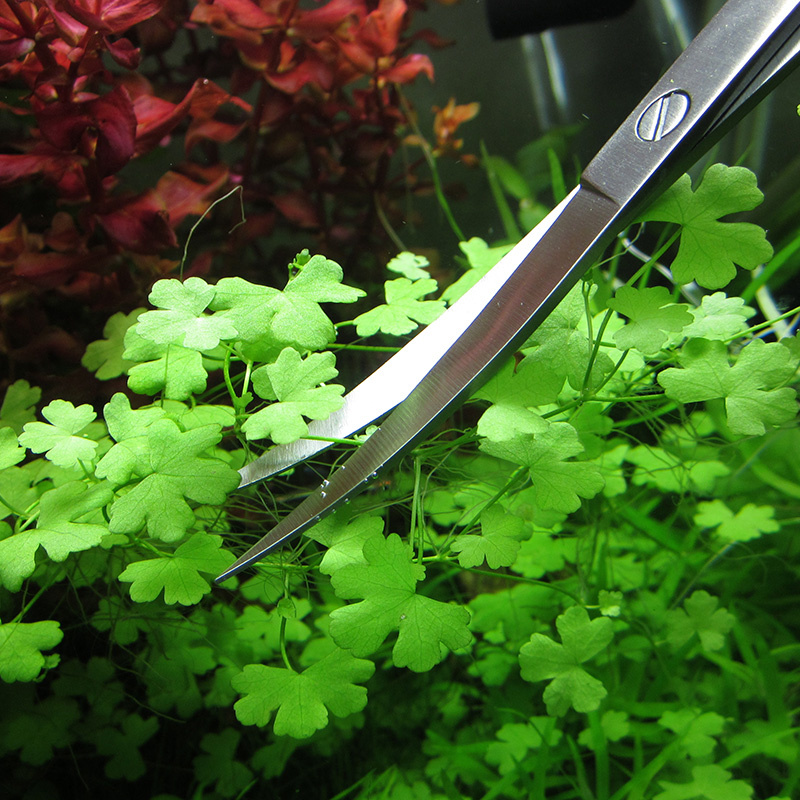 Аксессуары для аквариума, жест – обзор и цена Planted Aquarium Maintenance Kit