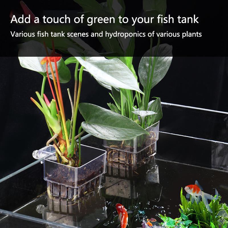 Корзины для гидропоники в аква – обзор и цена Aquarium Planted Set Up