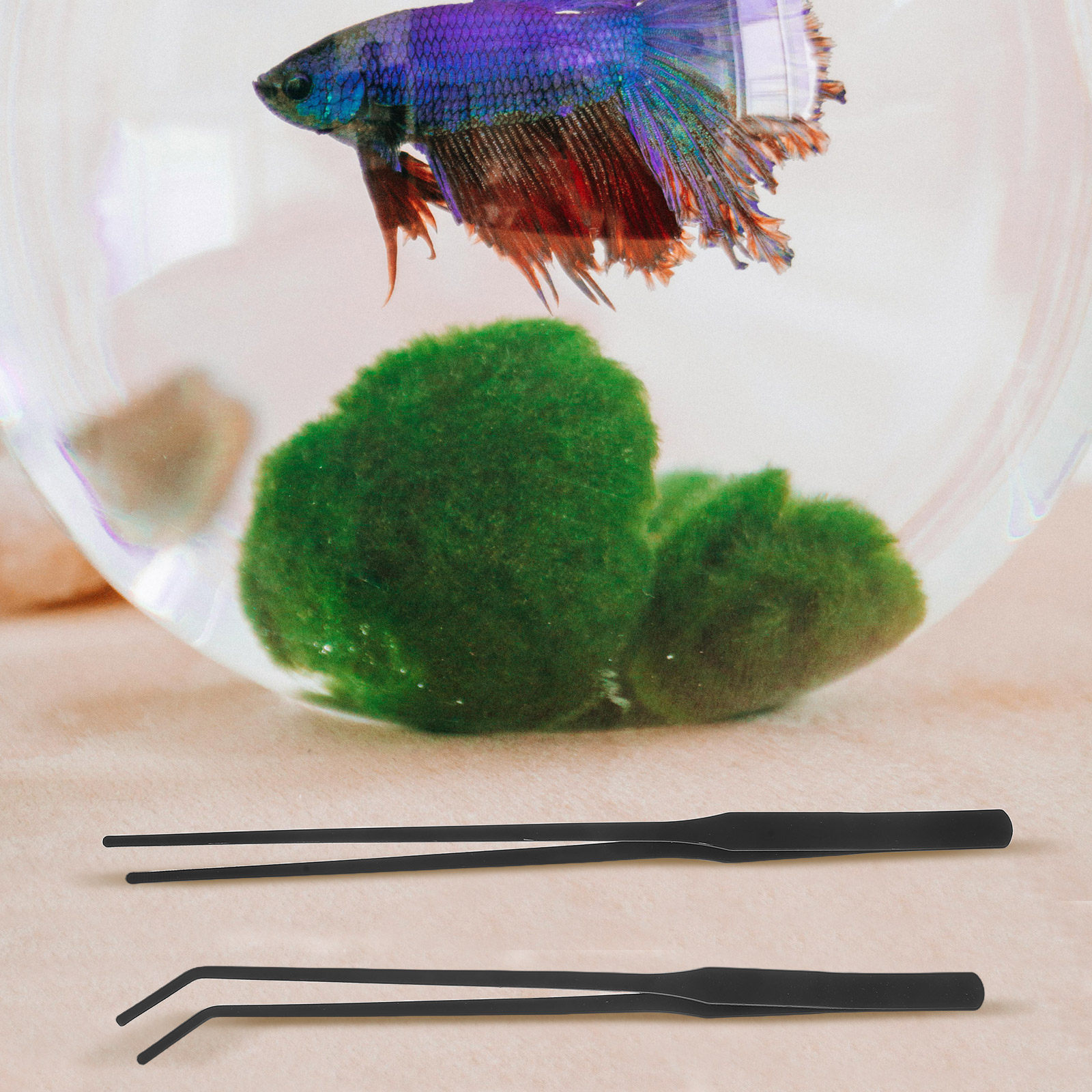 4 шт. пинцетов для аквариума и – обзор и цена Planted Aquarium Tool Kit
