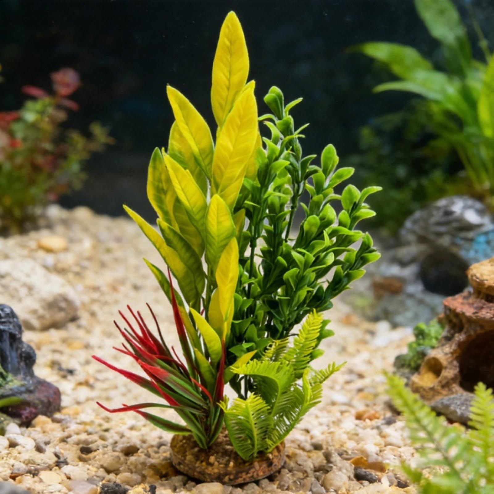 Искусственные растения для акв – обзор и цена Planted Aquarium For Beginners
