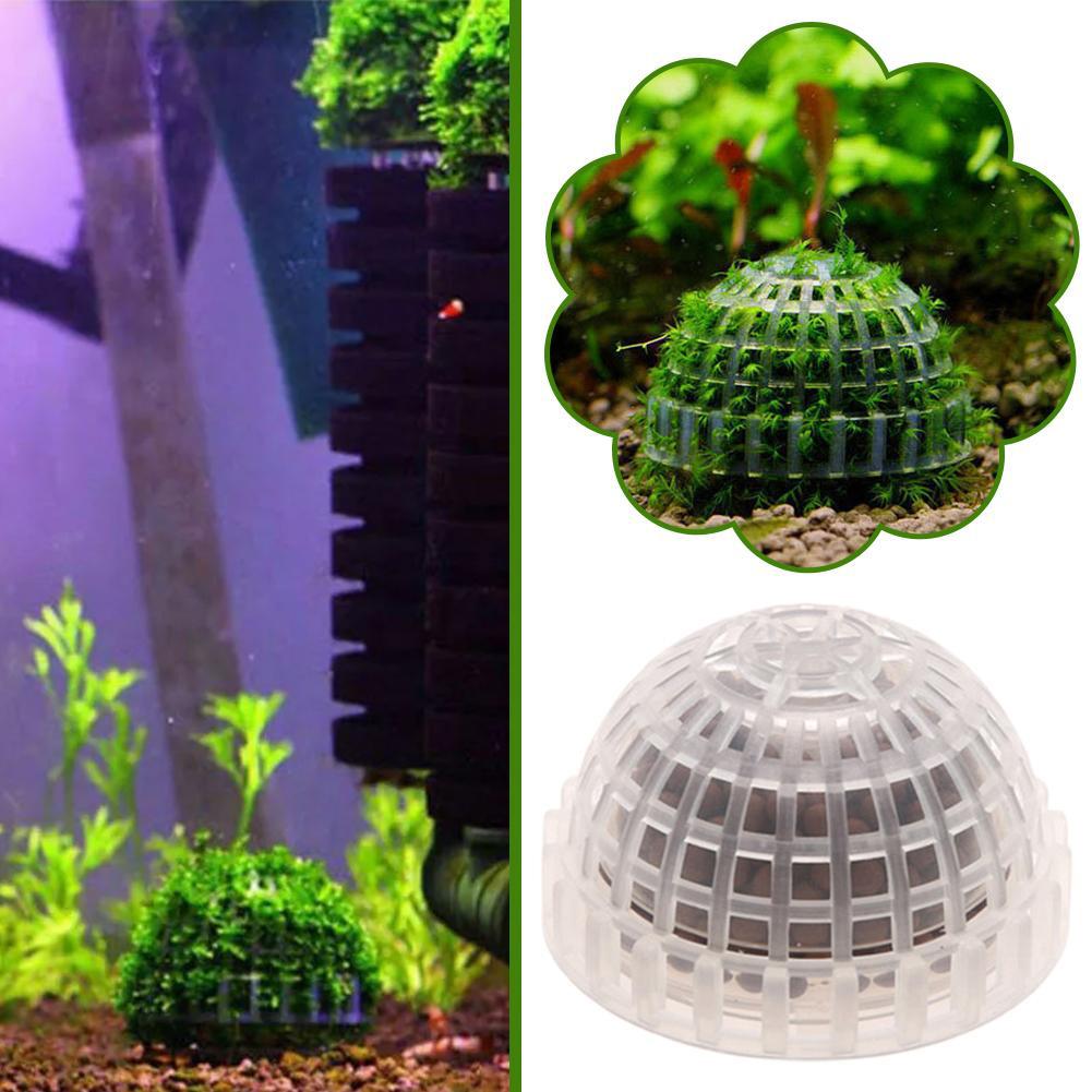 1/2/3/4/5 шт. Декоративные рас – обзор и цена Aquarium Plant Red