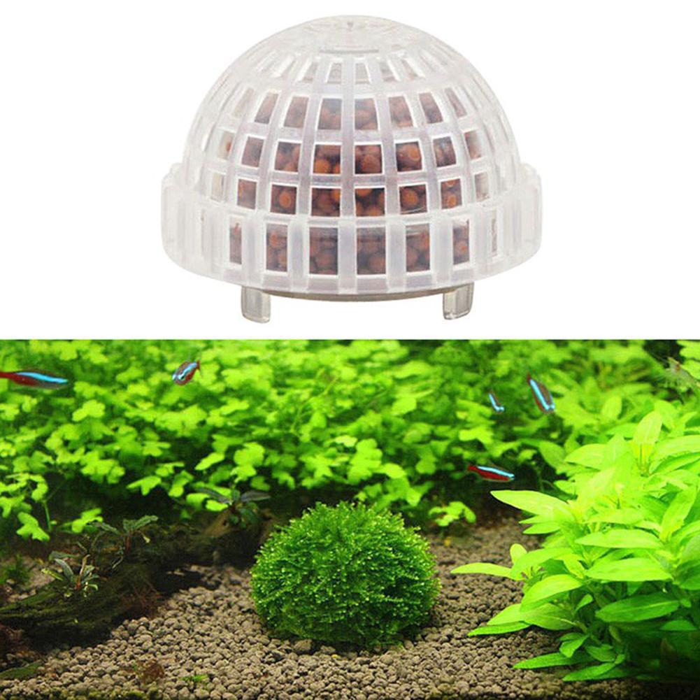 1/2/3/4/5 шт. Декоративные рас – обзор и цена Aquarium Plant Red