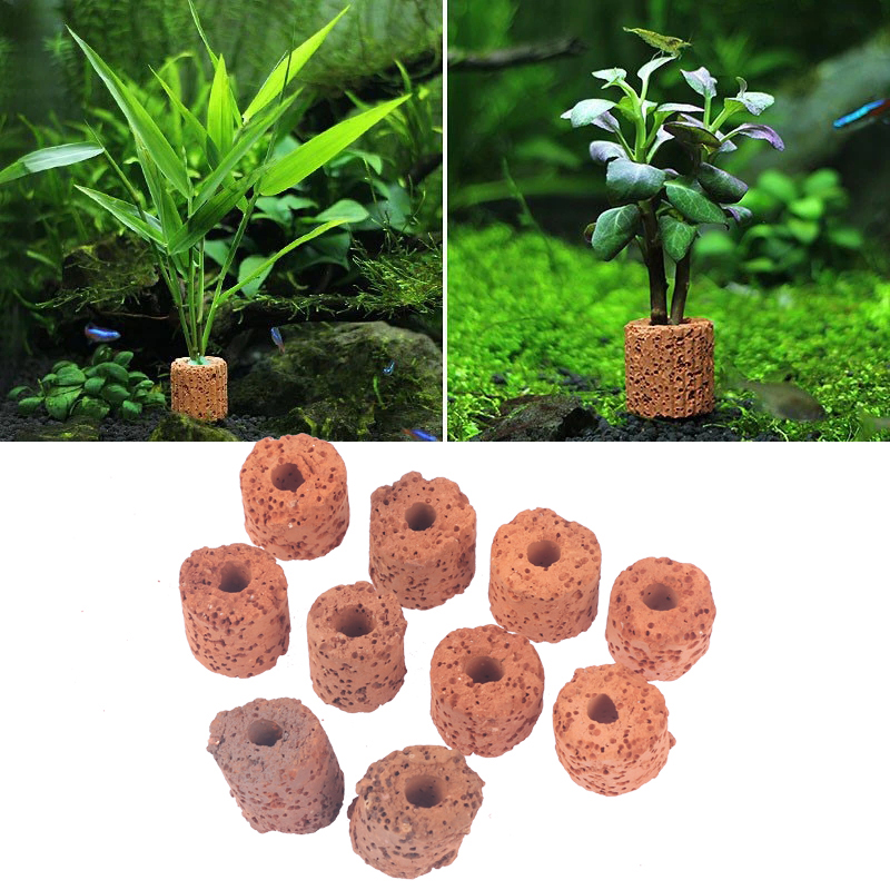 10 шт., мини-кольцо для водных – обзор и цена Aquarium Planted Set Up