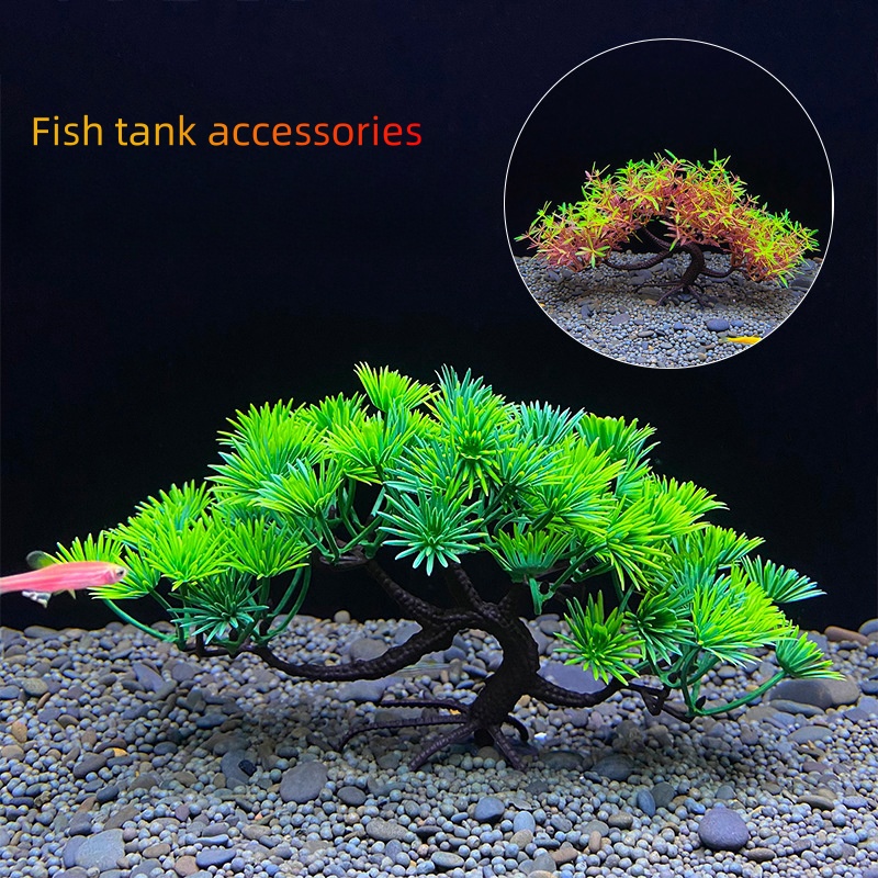 Аквариумное дерево бонсай, рас – обзор и цена Aquarium Plant Seeds