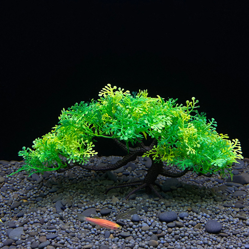 Аквариумное дерево бонсай, рас – обзор и цена Aquarium Plant Seeds