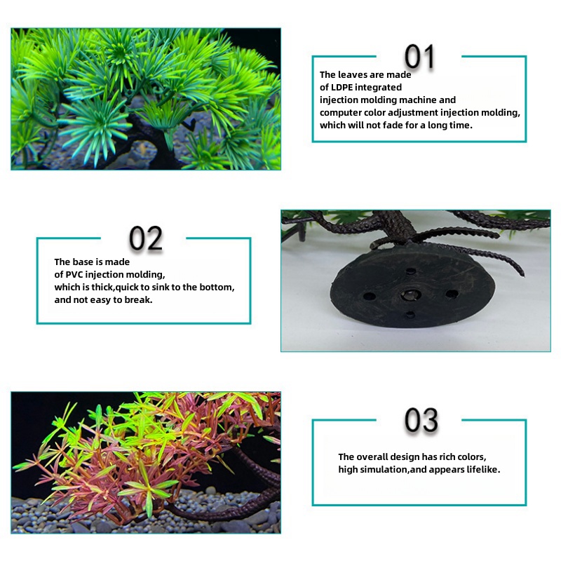 Аквариумное дерево бонсай, рас – обзор и цена Aquarium Plant Seeds