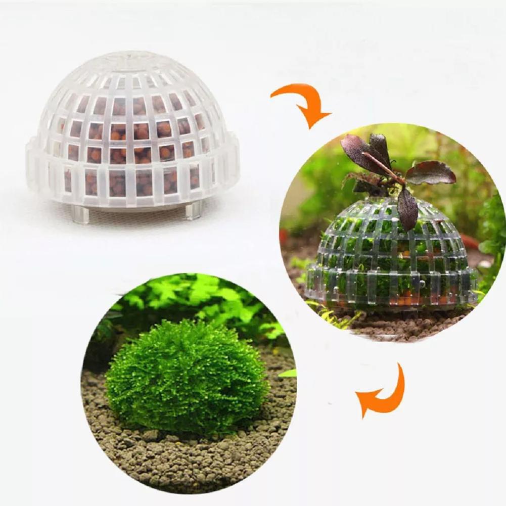 Украшение для аквариума, расте – обзор и цена Aquarium Plant Red