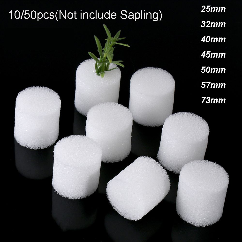 10/50 шт., губки для выращиван – обзор и цена Aquarium Plant Seeds