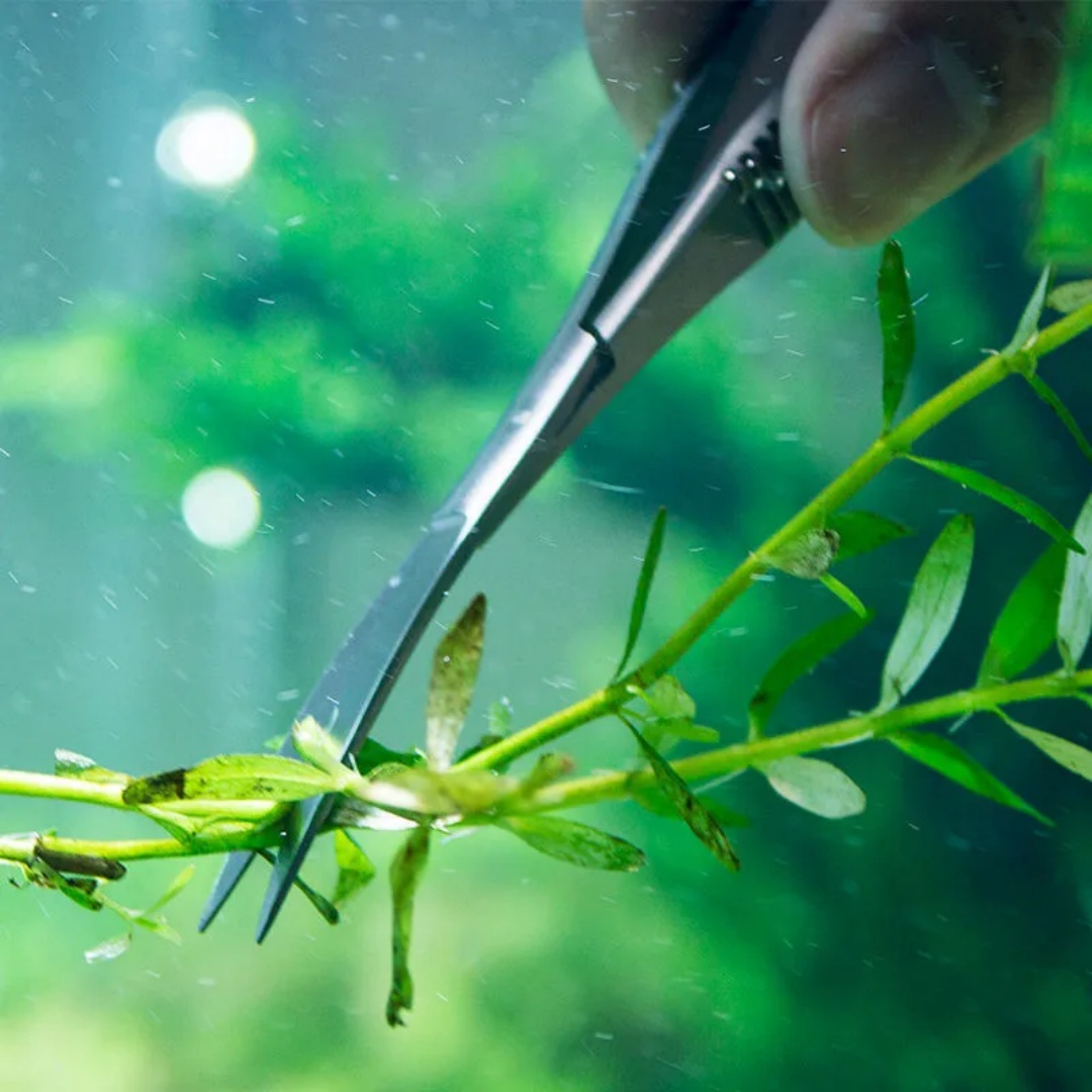 Изогнутые прямые пружинные нож – обзор и цена Planted Aquarium Maintenance Kit