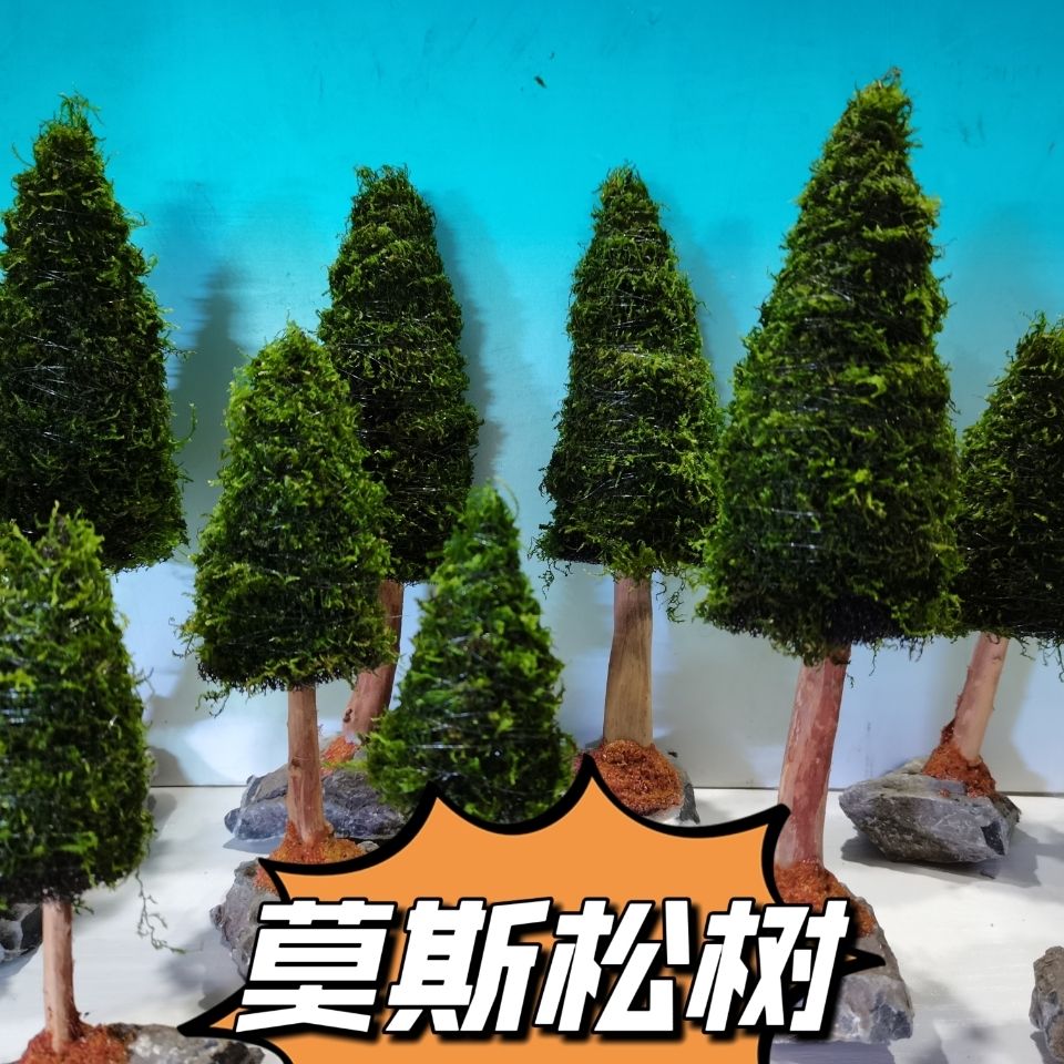 Аквариумное украшение, водные  – обзор и цена Aquarium Plant Seeds