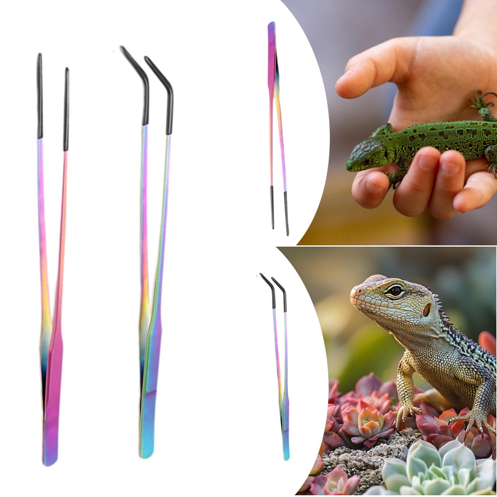 Щипцы для кормления рептилий с – обзор и цена Planted Aquarium Tips