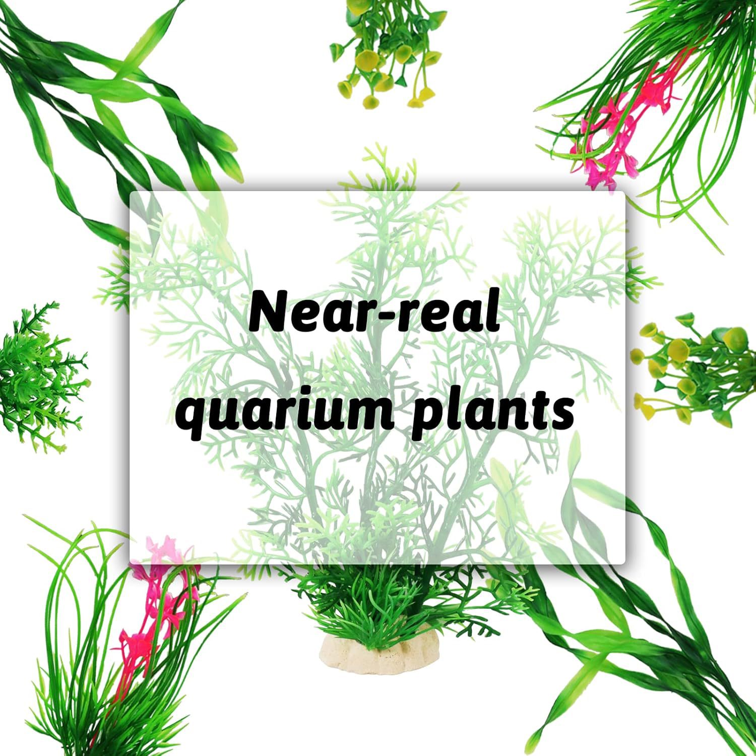 Набор искусственных растений д – обзор и цена Planted Aquarium For Beginners