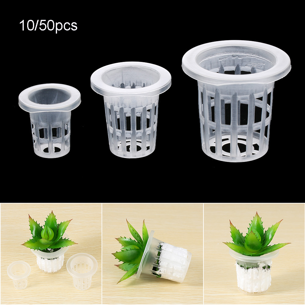 10/50 шт. прочные посадочные а – обзор и цена Aquarium Plant Seeds