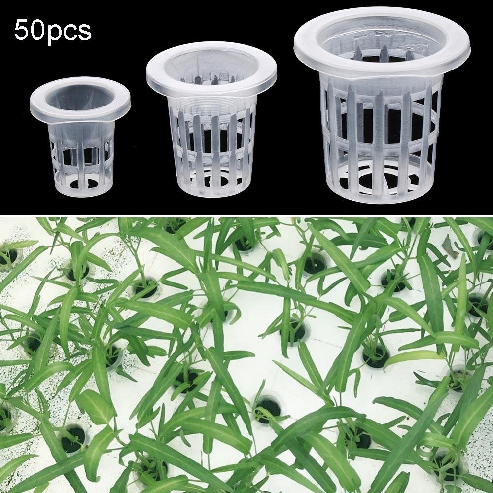 10/50 шт. садовые принадлежнос – обзор и цена Aquarium Plant Seeds