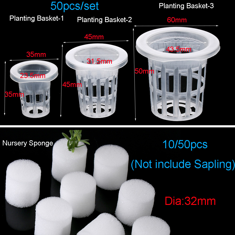 10/50 шт. садовые принадлежнос – обзор и цена Aquarium Plant Seeds